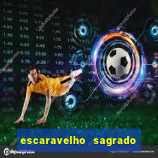 escaravelho sagrado e perigoso